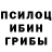 Псилоцибиновые грибы GOLDEN TEACHER Aparna Rele